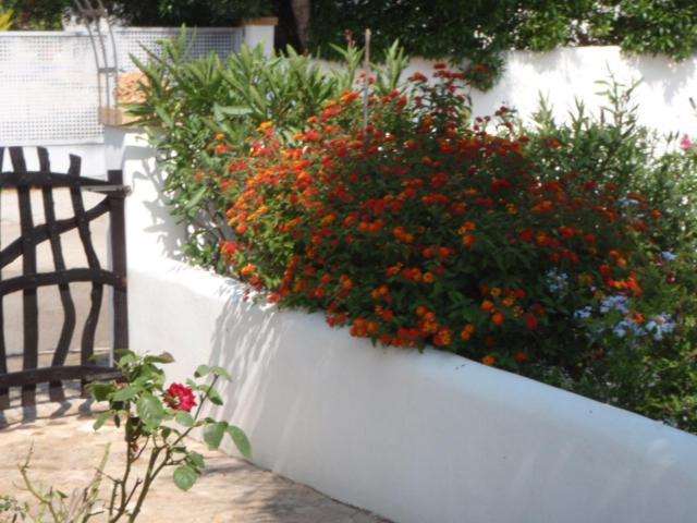 Holiday home Carpe Diem