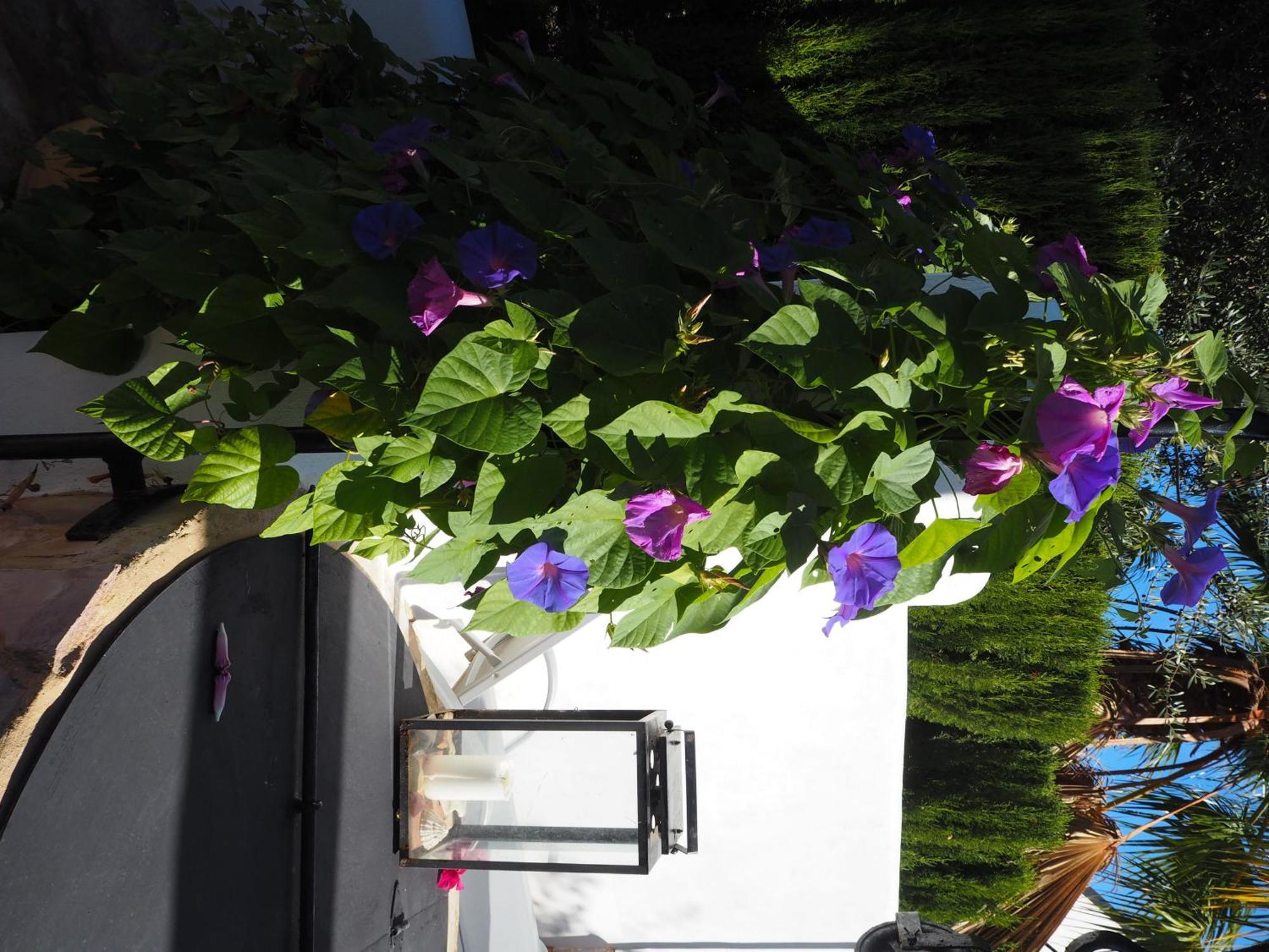 Holiday home Carpe Diem Sa Rapita